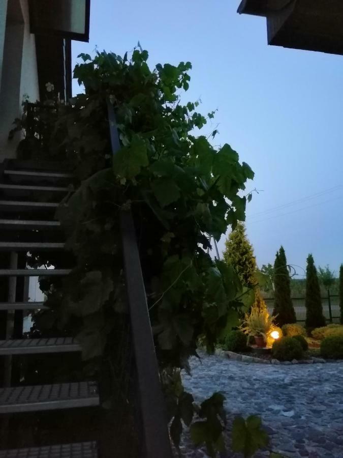 Sloneczne Zacisze Appartement Wicko  Buitenkant foto