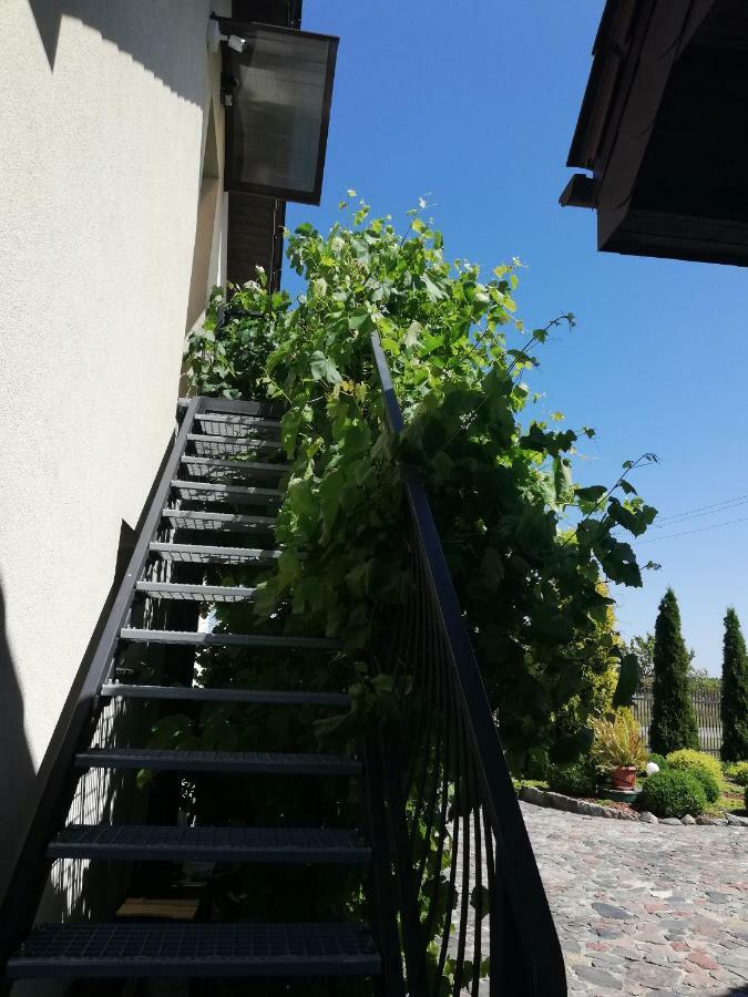 Sloneczne Zacisze Appartement Wicko  Buitenkant foto