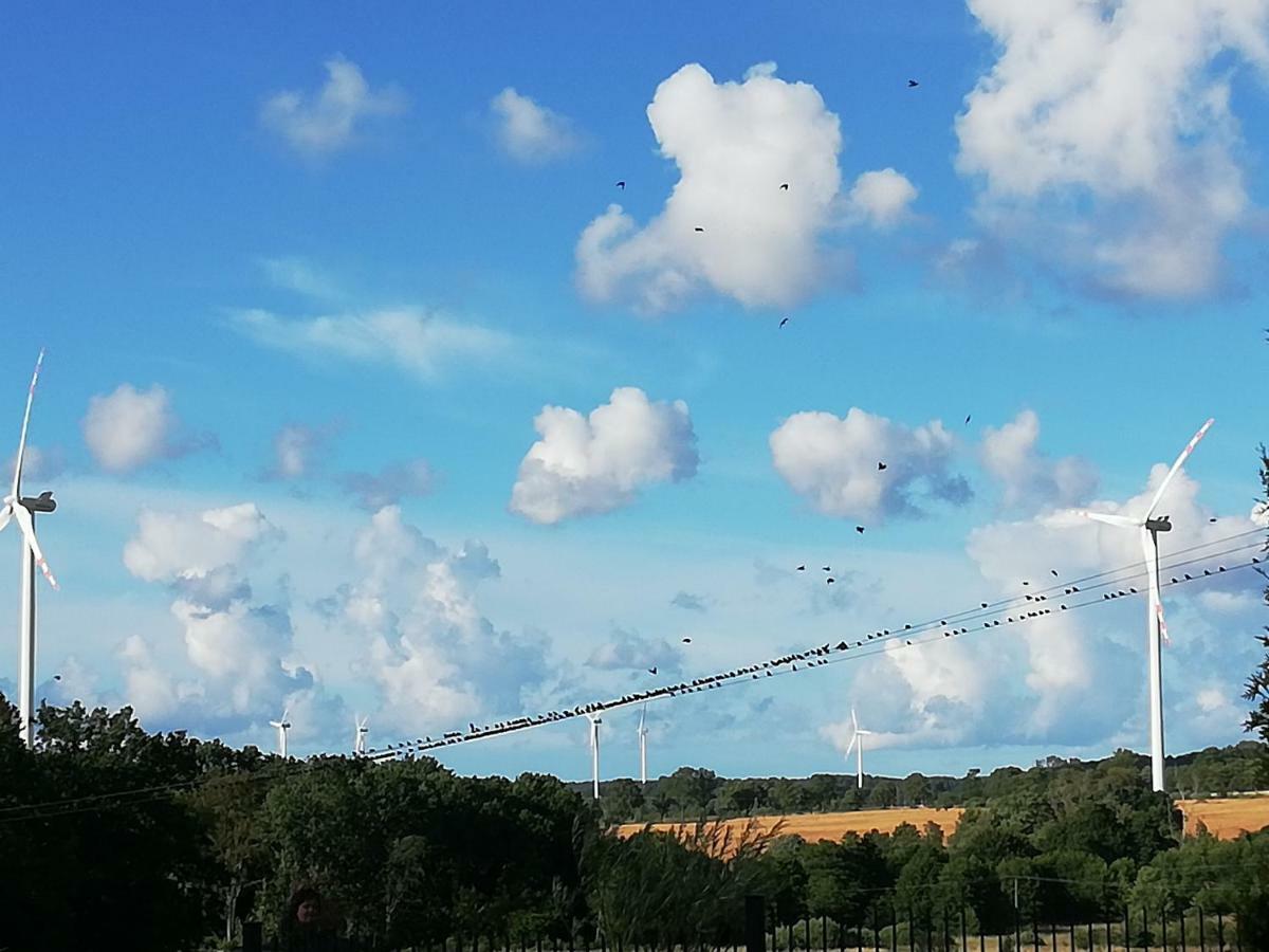 Sloneczne Zacisze Appartement Wicko  Buitenkant foto